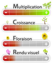 performances eclairage horticole led
