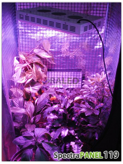 spectrapanel 119 eclairage horticole aux leds