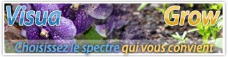 spectre grow visua