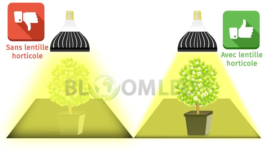 Utilisation ampoule horticole led SpectraBULB X20