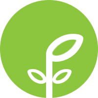 croissance de plantes sous lampe et eclairage horticole led