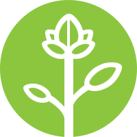 lampe de culture led horticole pour plantes de croissance