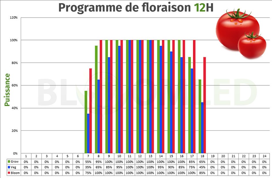 Programme de culture floraison X85 X135 X540