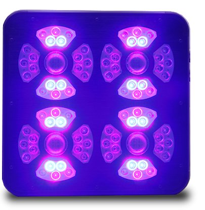 Eclairage horticole LED SpectraMODULE X540 LED UV et Bleu