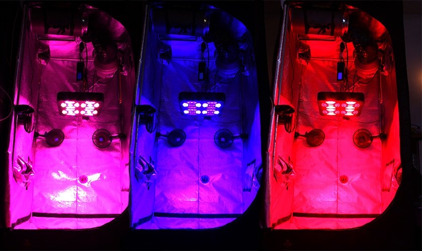 Eclairage horticole LED SpectraMODULE