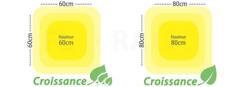 Superficie éclairage horticole LED